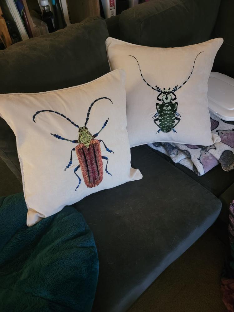 Original Throw Pillow Insert (Set of 2) - Customer Photo From Haylie Barber