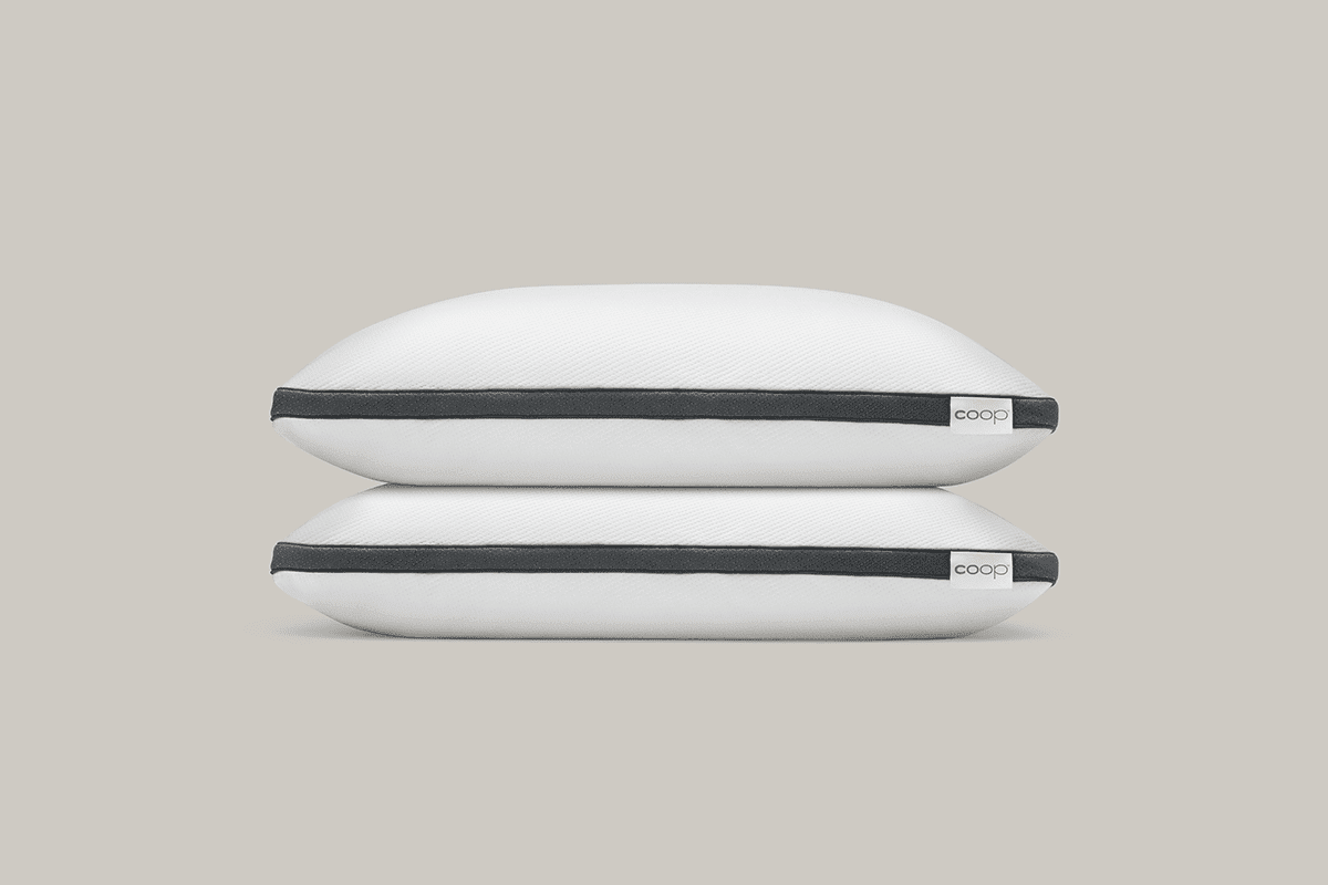 The Original Pillow & Protector Bundle